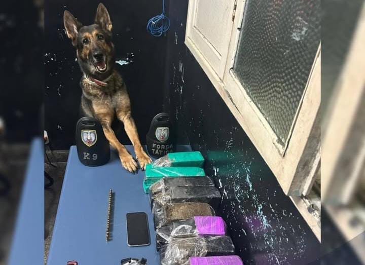 Polícia apreende 10 kg de maconha, arma e munições em Aracruz