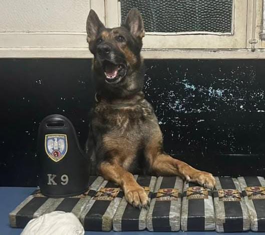 K9 apreende 10 Kg de drogas na Operação Saturação em Aracruz