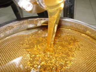 Produção de mel | Aracruz lidera o ranking estadual