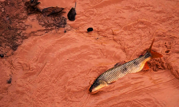 Caso Samarco: nova etapa de responsabilização é marcada para meados deste mês