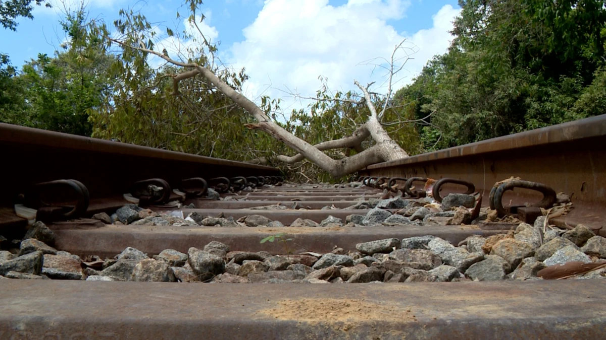 Trecho de ferrovia bloqueado por indígenas em Aracruz é liberado