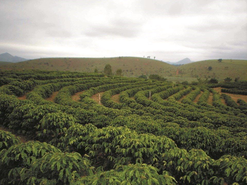 Incaper prevê chuvas dentro da média e temperaturas acima do normal em março no Espírito Santo