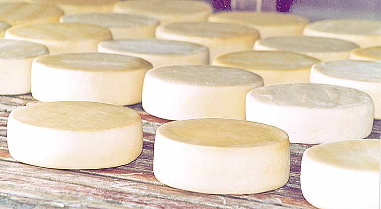 Produtores de Aracruz participam da eleição de queijos artesanais do Espírito Santo
