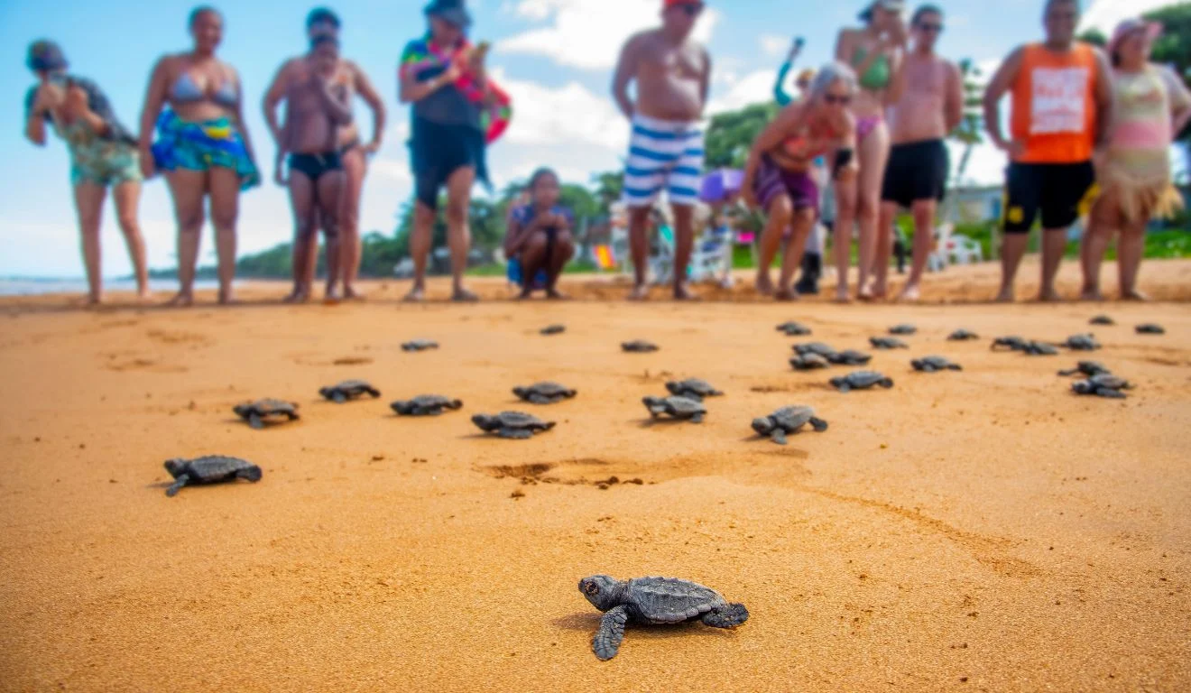 Aracruz lança Corredor de Biodiversidade com foco em turismo e economia sustentável