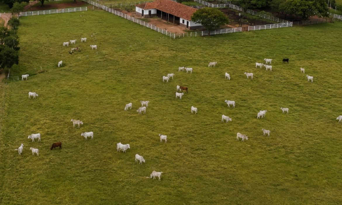 Produtores rurais de Aracruz têm até 30 de junho para atualizar cadastro de rebanhos junto ao Idaf