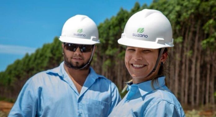 Suzano abre oportunidades para operadores trainees e instrutores florestais em Aracruz