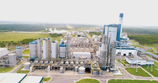 Suzano e Valmet reforçam parceria de longa data e discutem o futuro da indústria de tissue no Brasil e na América Latina