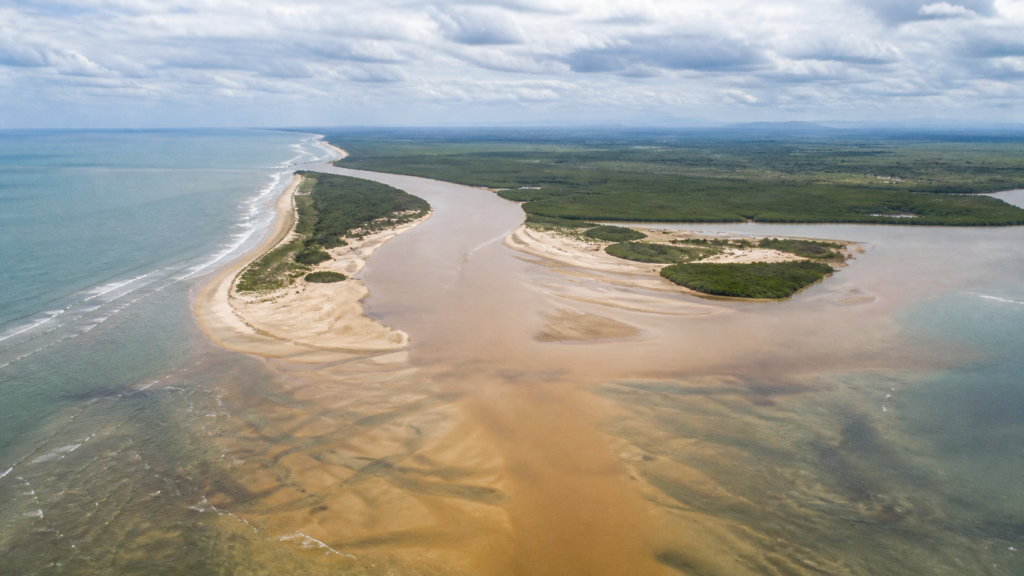 Estudo revela recorde de peixes deformados no litoral norte do ES