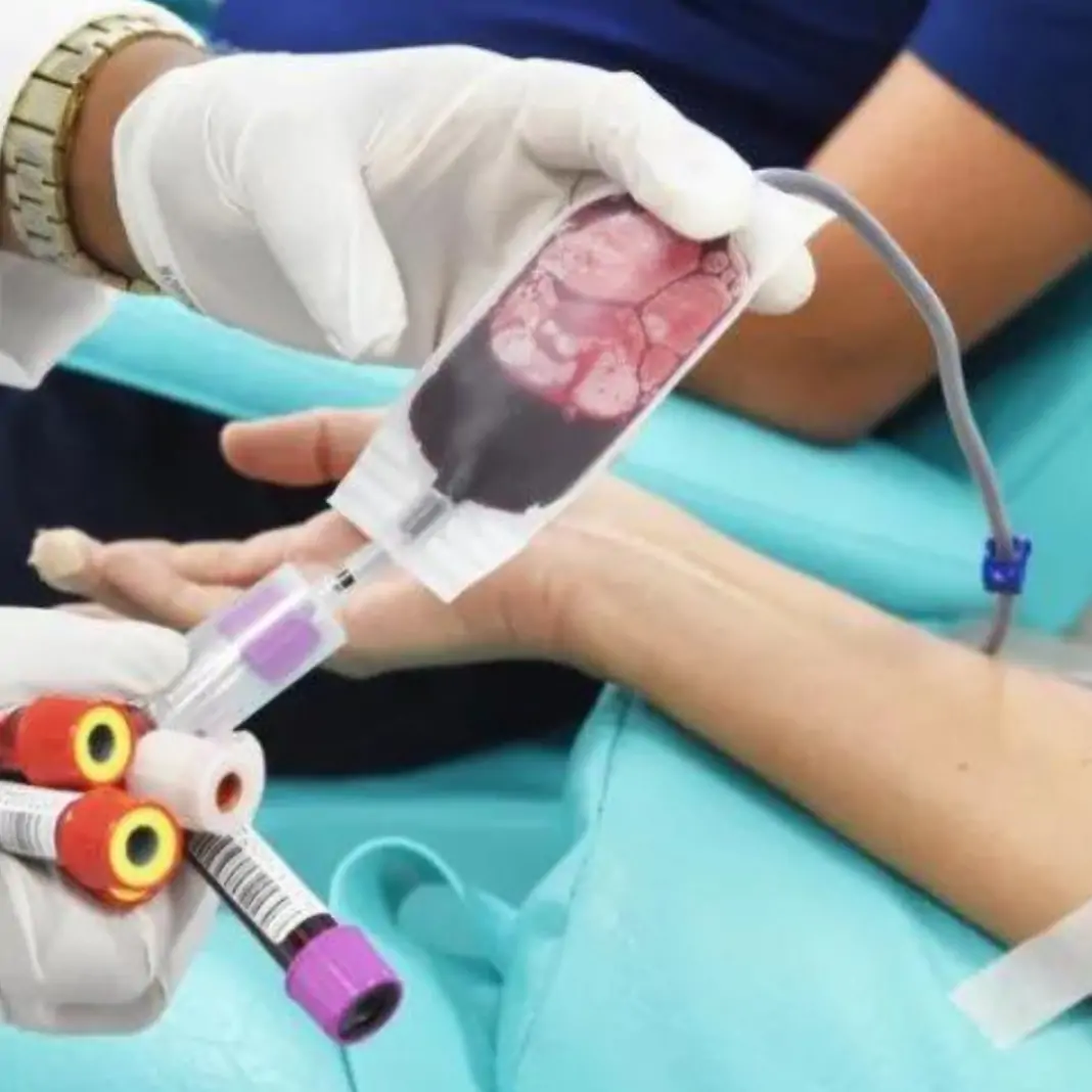 Novas regras para doação de sangue entram em vigor no país